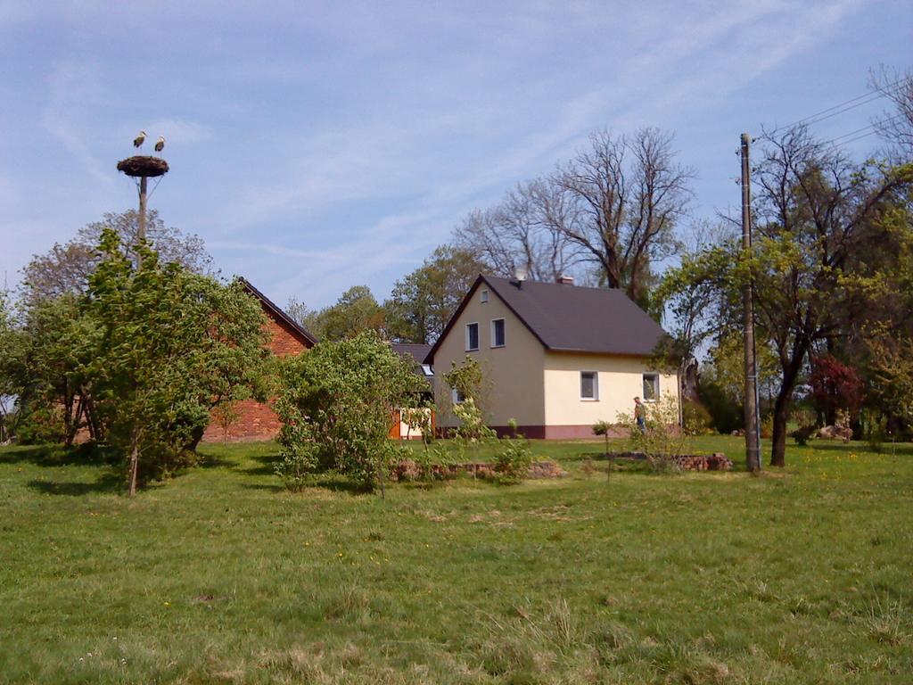 Ferienwohnung Am Storchennest Schmogrow Esterno foto